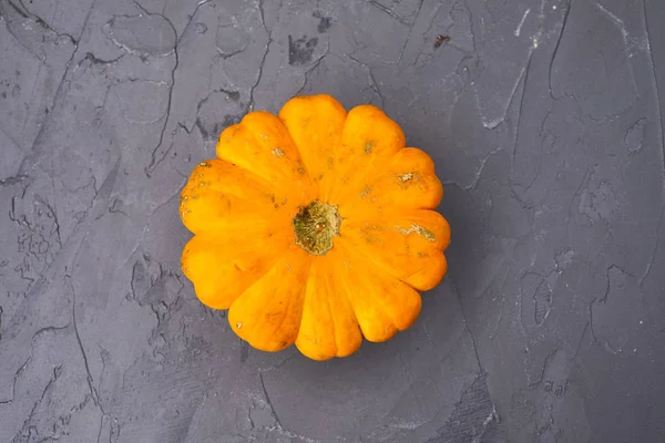 Fresh small pumpkin — Stock Photo, Image