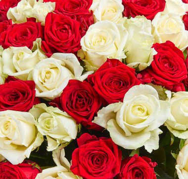 parlak çiçek buketi