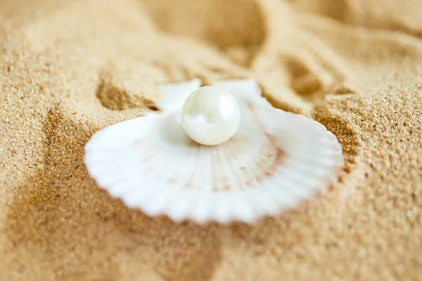 pearl in opened shell on beach