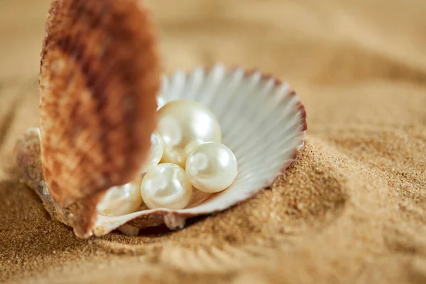 Pearls in opened shell on beach — Stock Photo, Image