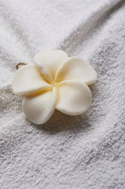havlu üzerinde beyaz çiçek