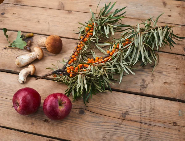 Herfst samenstelling op tafel — Stockfoto