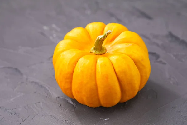 Piccola zucca arancione — Foto Stock