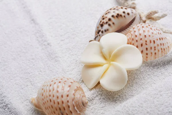 Λευκό λουλούδι στην πετσέτα — Φωτογραφία Αρχείου