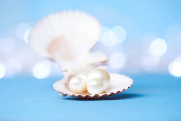Pearls in open shell — Stock Photo, Image