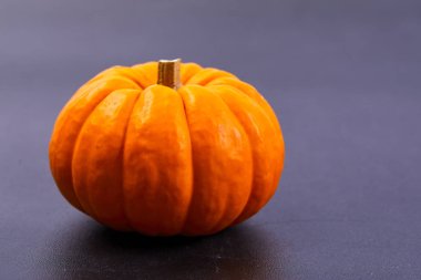 küçük turuncu kabak