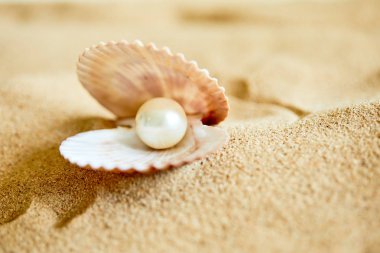 Sahilde açılan kabuğundaki inci