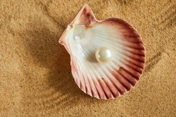 Parel in geopende shell op strand — Stockfoto