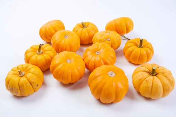 Pequeñas calabazas naranjas — Foto de Stock