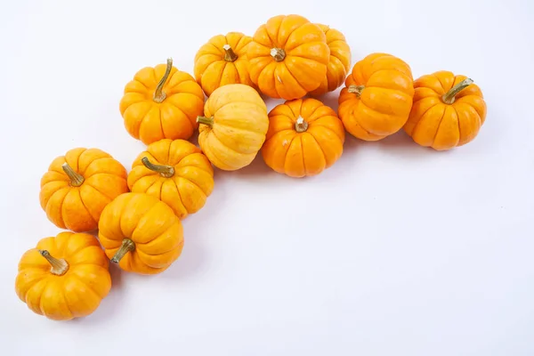 Pequeñas calabazas naranjas — Foto de Stock