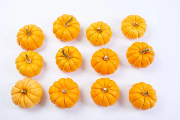 Small orange pumpkins — Stock Photo, Image