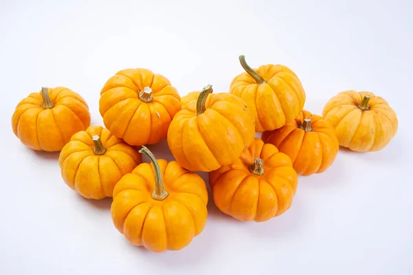 Pequeñas calabazas naranjas — Foto de Stock