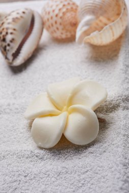 deniz kabuklarını çiçekli havlu, spa kavramı üzerinde