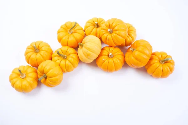 Petites citrouilles orange — Photo