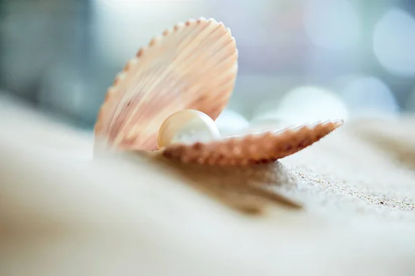 Pérola em casca aberta na praia — Fotografia de Stock