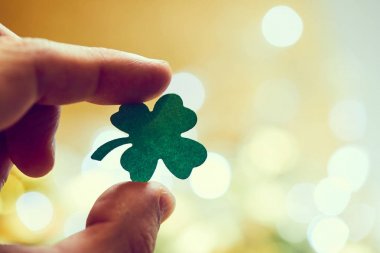  yonca elinde, kağıttan yaprak yakın çekim 