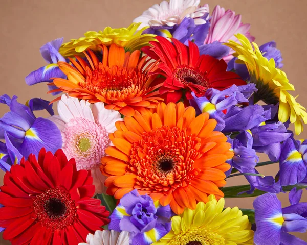 Szép Fényes Virág Csokor Közeli — Stock Fotó
