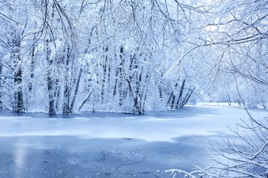 güzel kış parkı ile buzlu göl 