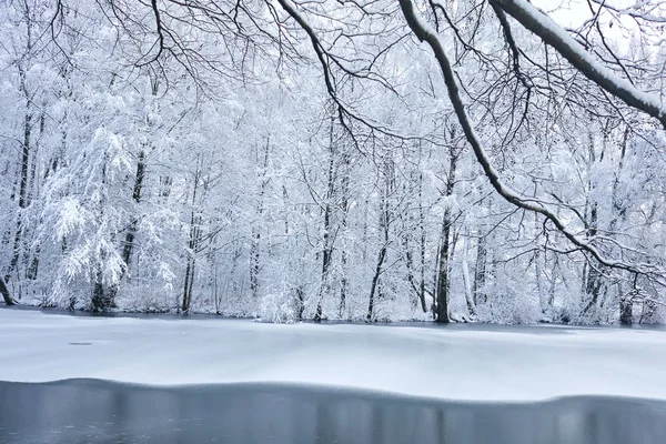 美丽的冬天公园与结冰的湖 — 图库照片