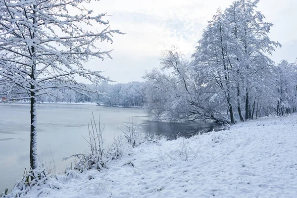 Vackra Vinter Park Med Iced Sjö — Stockfoto