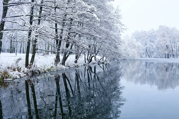 アイス湖と美しい冬の公園 — ストック写真