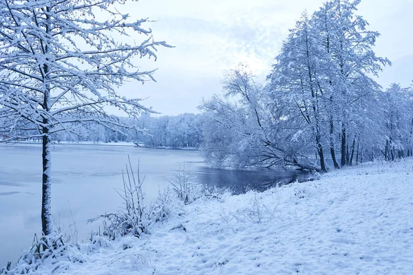 Mooie Winter Park Met Iced Lake — Stockfoto