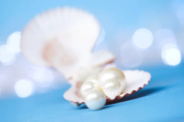 Perlas en concha abierta — Foto de Stock