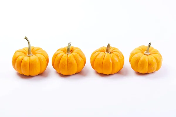 Piccole Zucche Arancioni Isolate Sfondo Bianco — Foto Stock