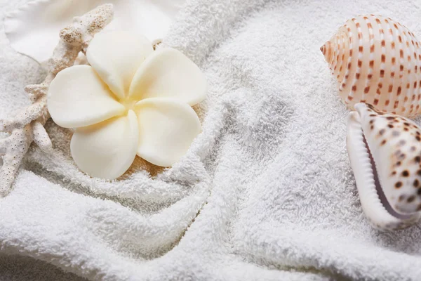 Bílý květ na ručník — Stock fotografie