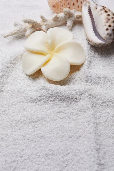 Белый цветок на полотенце — стоковое фото