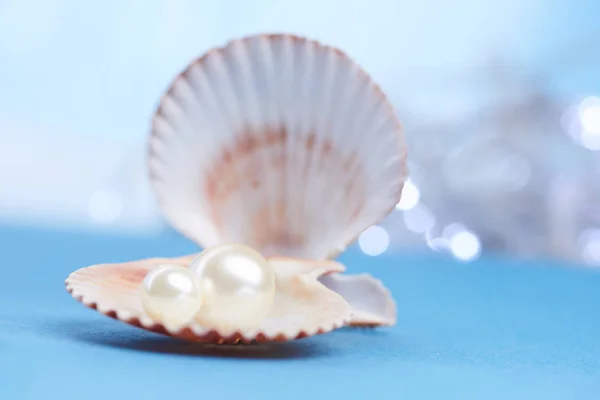 Perle în coajă deschisă — Fotografie, imagine de stoc