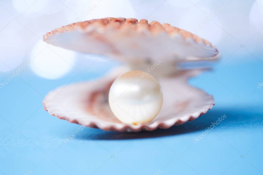 pearls in open shell 