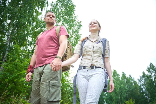 ormanda yürüyüş güneşli gün iki gezginler 