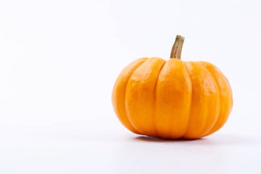 Beyaz arka plan üzerinde izole küçük turuncu kabak