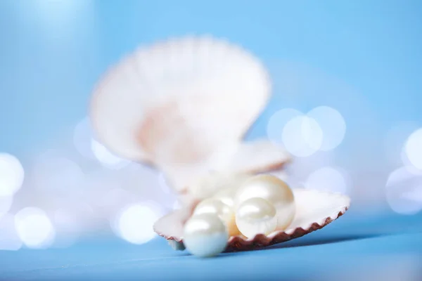 Pearls in open shell — Stock Photo, Image