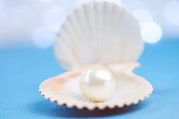 Pearls in open shell — Stock Photo, Image