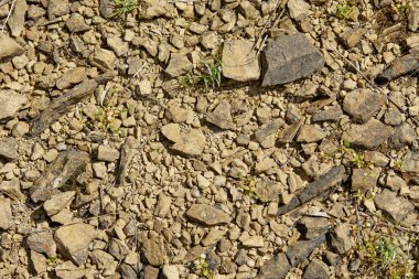 yerde, taş yığını yakın çekim