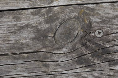 Gri ahşap kaplama arka plan