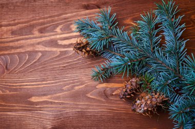 Köknar ağacı dalı ile ahşap arka plan 