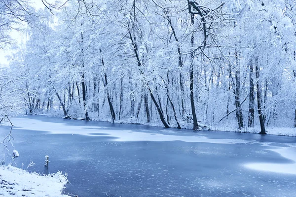 Belo Parque Inverno Nevado Com Lago Frio — Fotografia de Stock