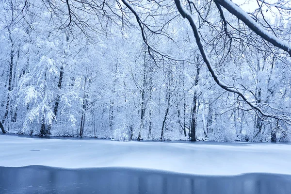 Mooi Besneeuwd Winter Park Met Koud Meer — Stockfoto