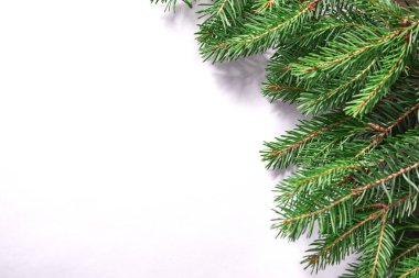 Beyaz arka planda ağaç dalları olan Noel kartı