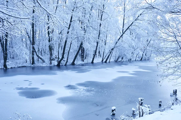 美丽的雪冬公园与寒冷的湖 — 图库照片