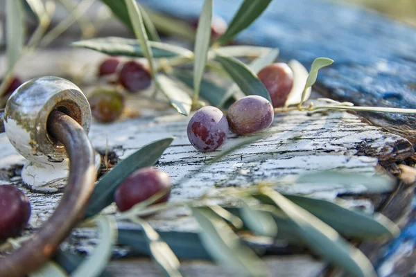 Aceitunas Violetas Maduras Con Hojas Sobre Fondo Madera — Foto de Stock