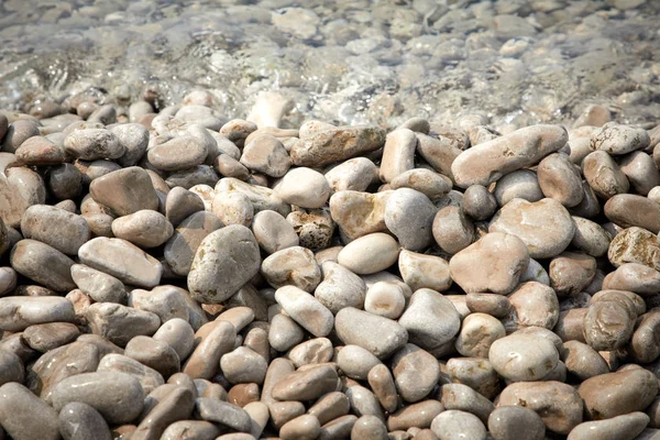 Pebbles Beach Sunny Day Montenegro — Stock Photo, Image