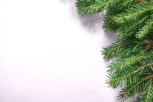 Weihnachtskarte Mit Tannenzweigen Auf Weißem Hintergrund Nahsicht — Stockfoto