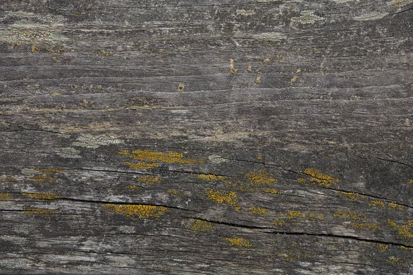 Fondo Texturizado Gris Madera Vieja — Foto de Stock