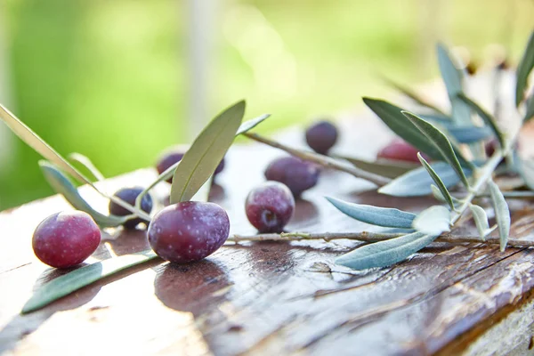 ripe violet olives with leaves on wooden background