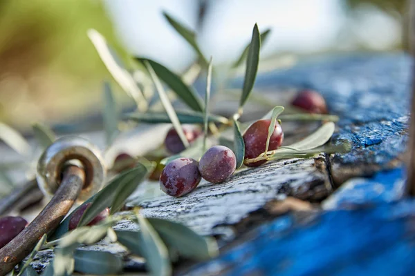 Rijpe Violette Olijven Met Bladeren Houten Ondergrond — Stockfoto