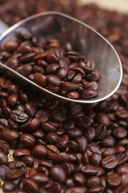 Metal kaşıkta kahve çekirdekleri, yakın plan. 